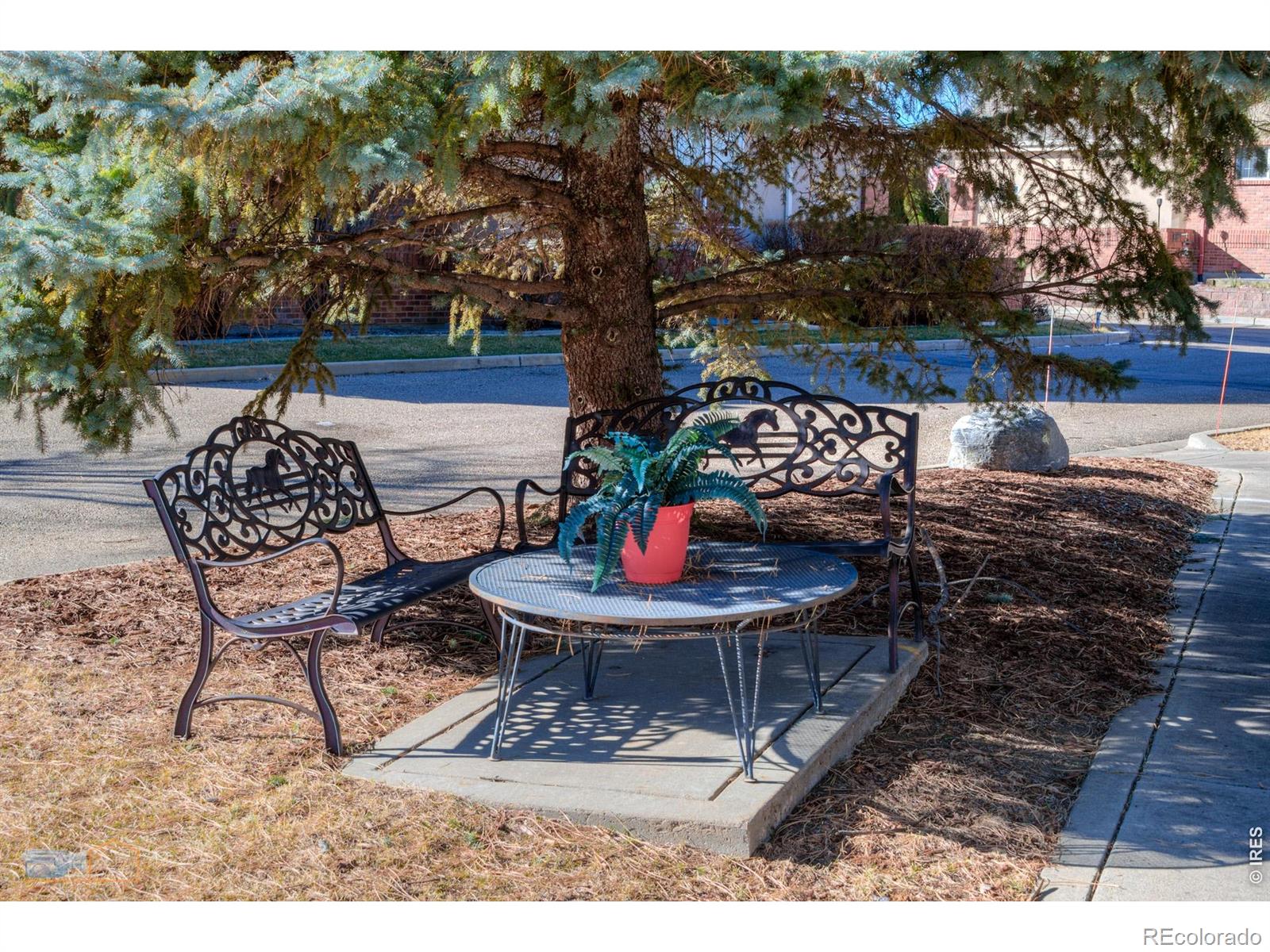 1333 Charles Drive Longmont CO 80503