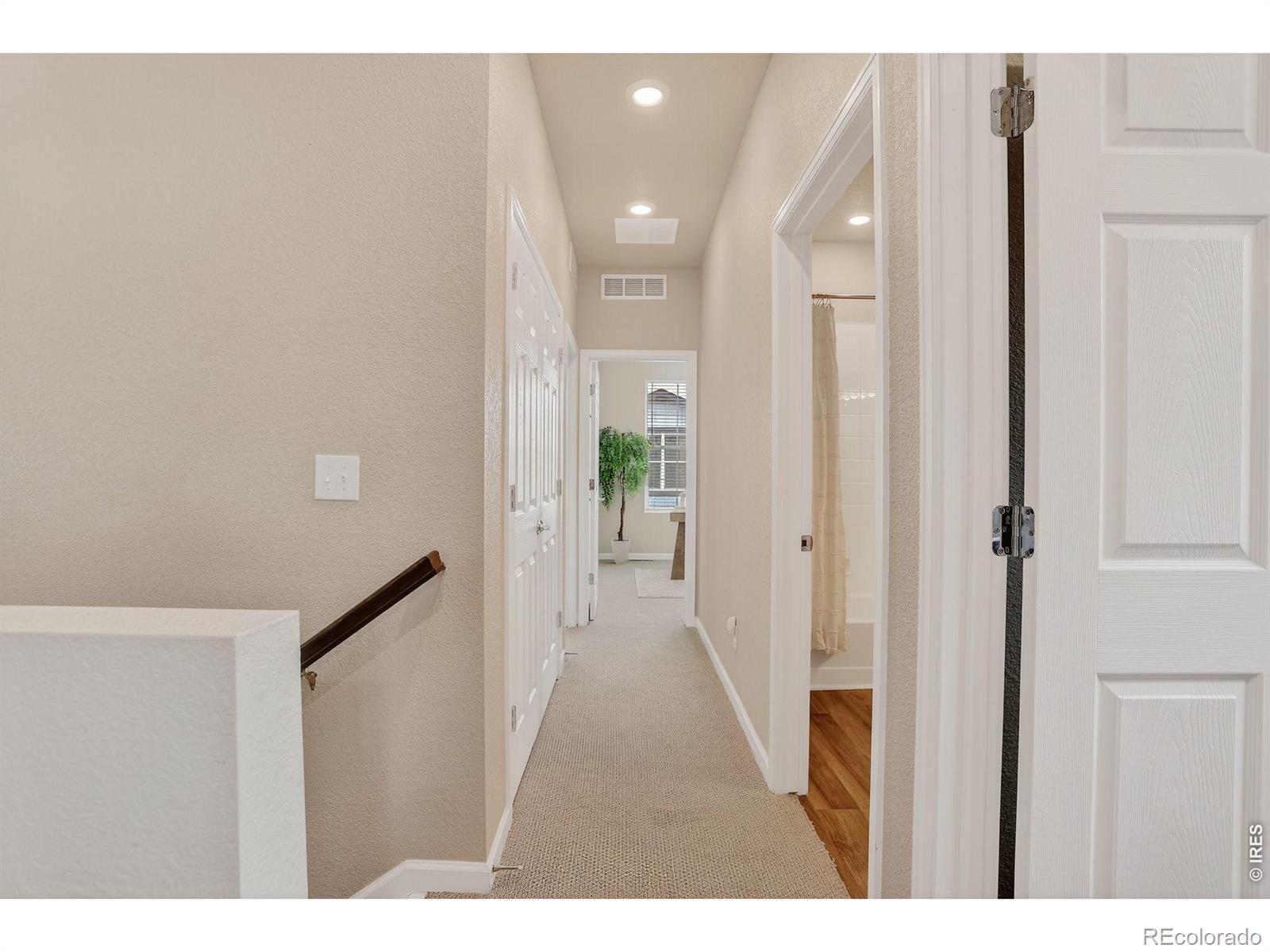 175 Ambrose Street Erie CO 80516