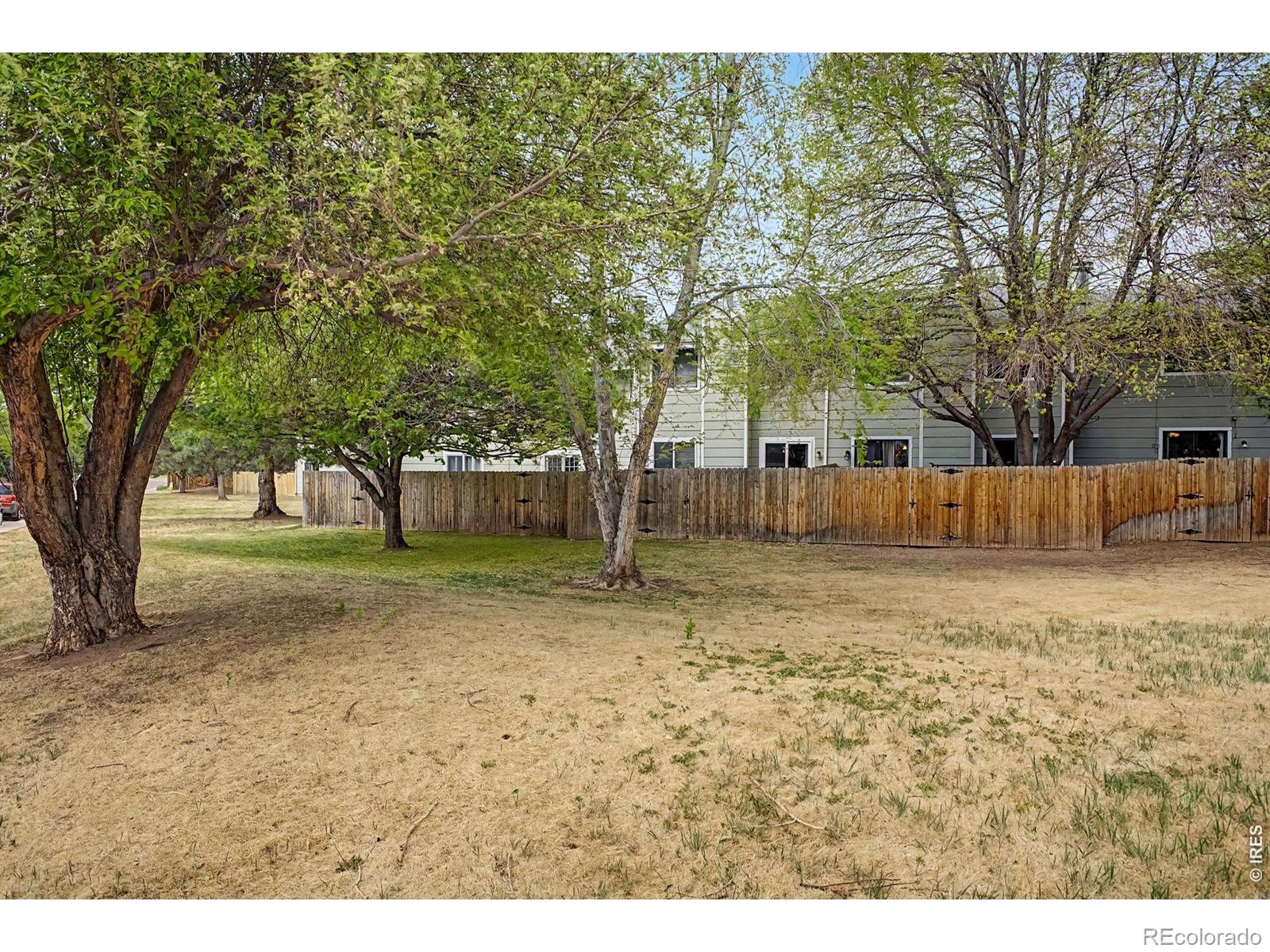 3440 Windmill Drive Fort Collins CO 80526