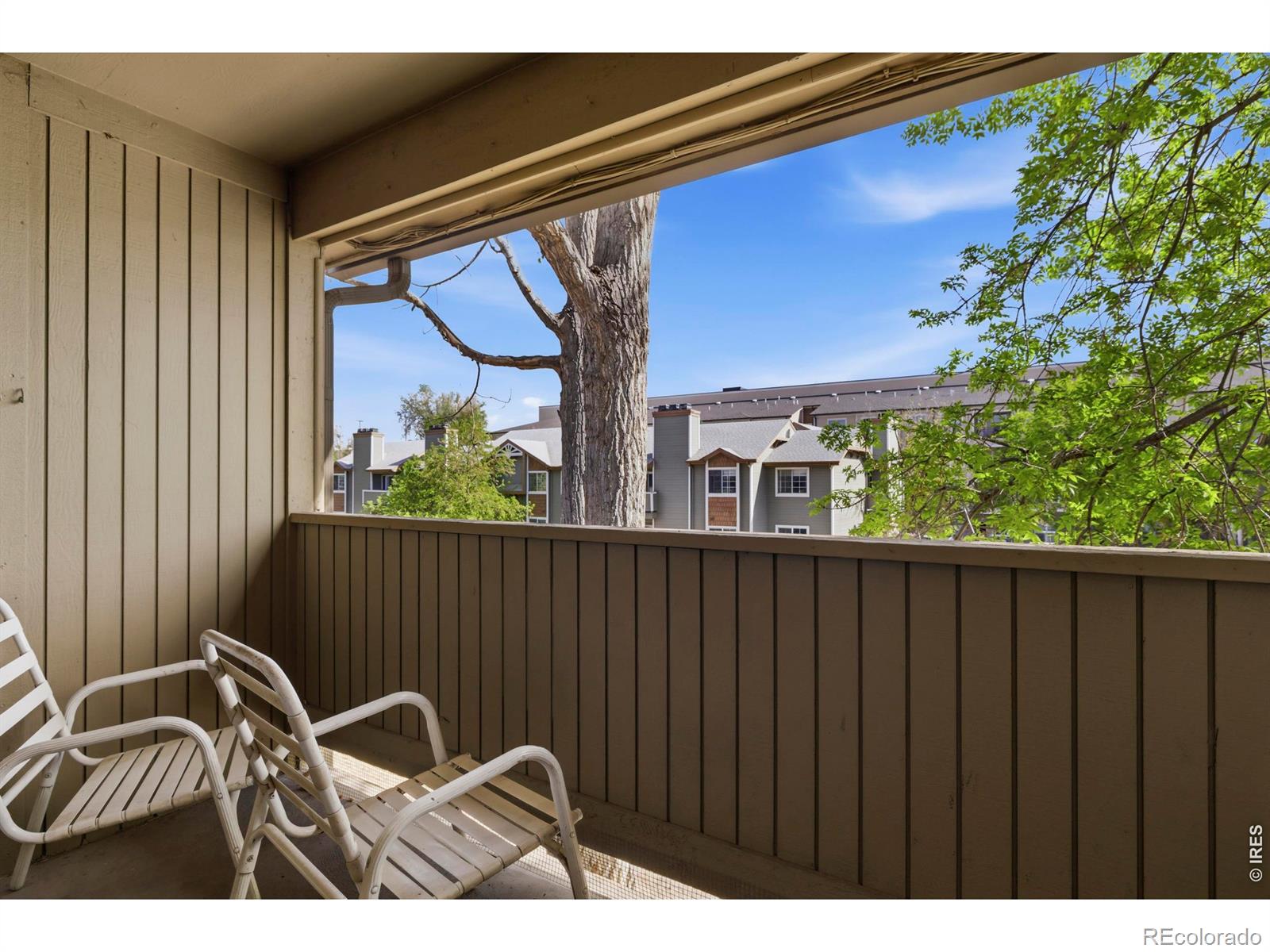 710 City Park Avenue Fort Collins CO 80521