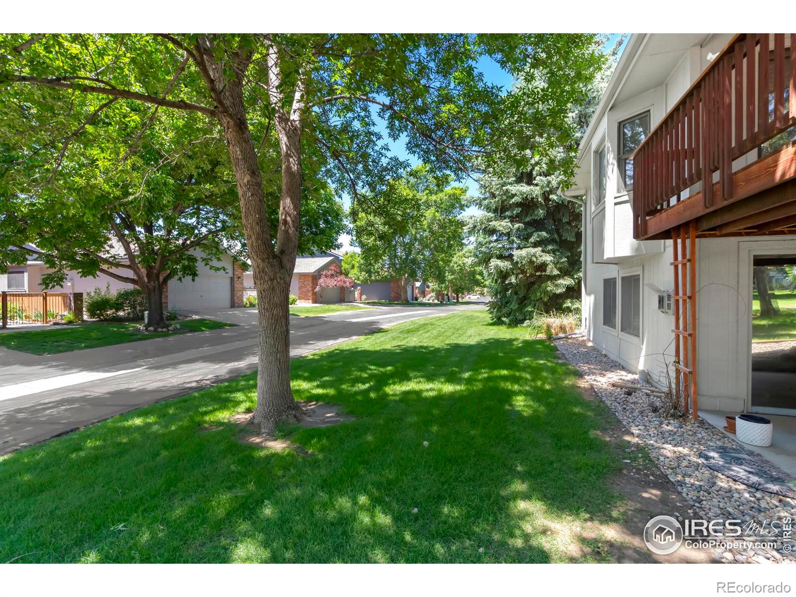 2037 Adriel Drive Fort Collins CO 80524