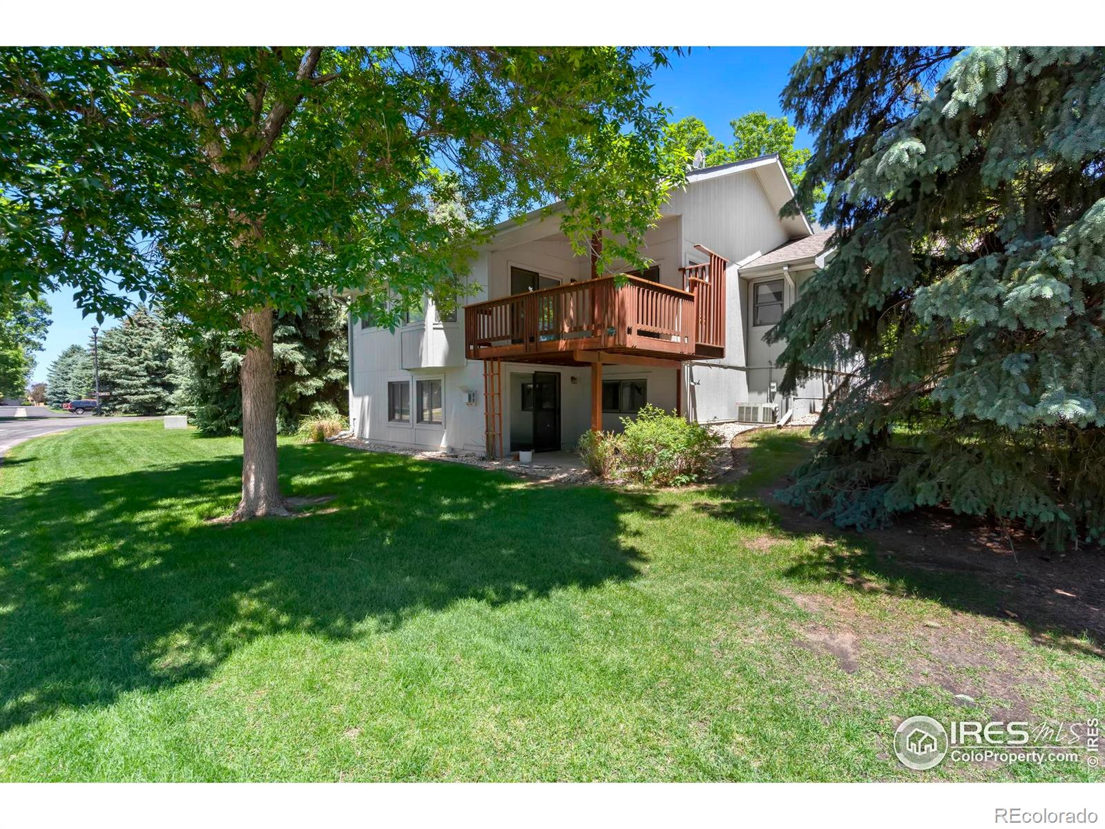 2037 Adriel Drive Fort Collins CO 80524