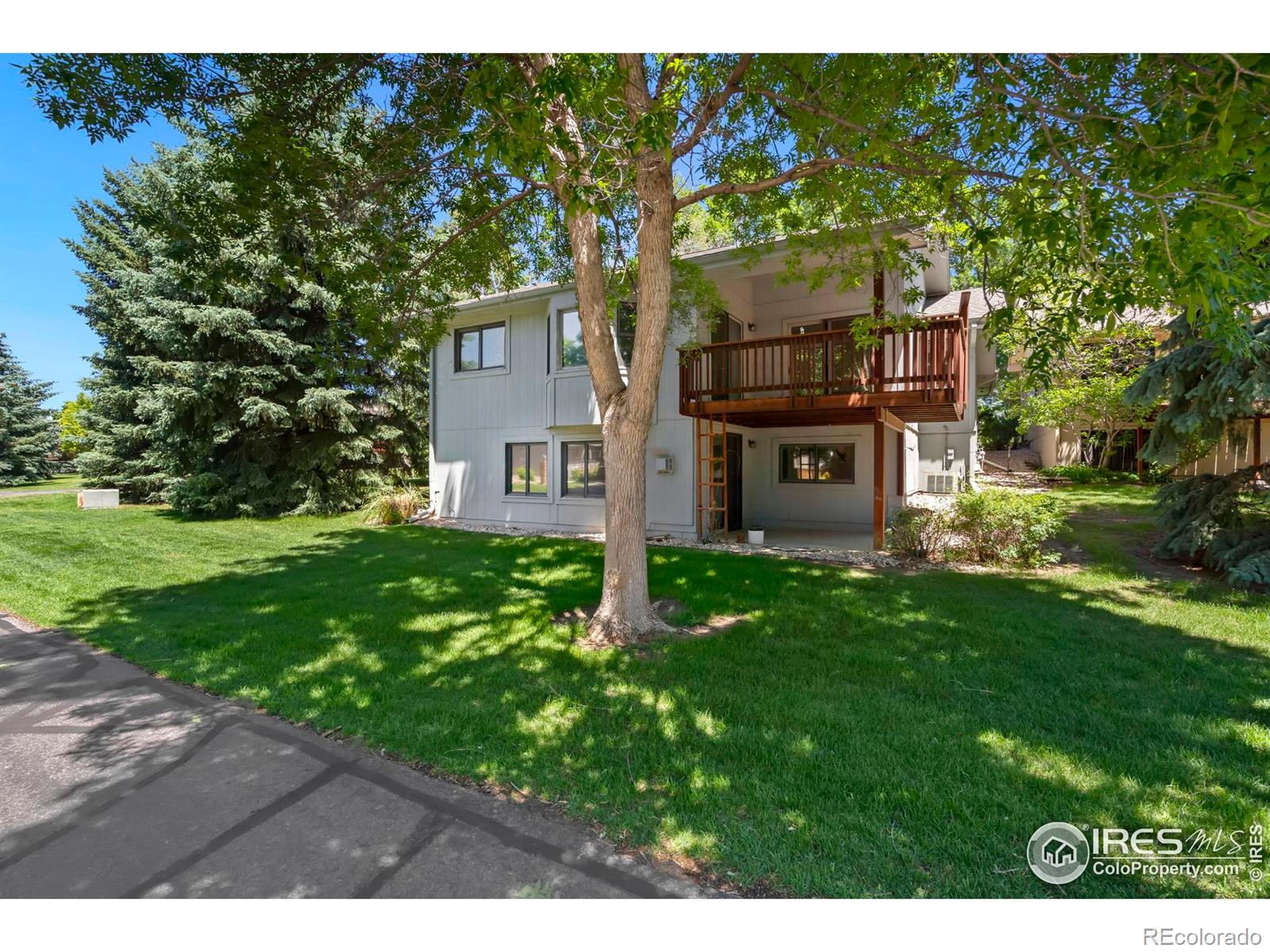 2037 Adriel Drive Fort Collins CO 80524