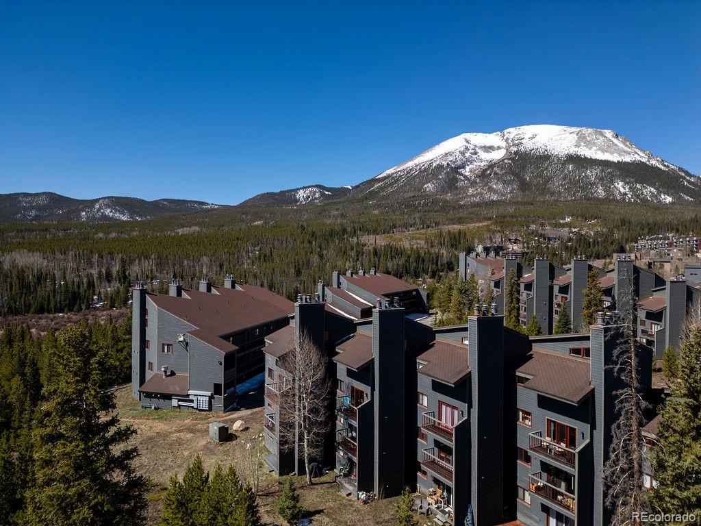 9401 Ryan Gulch Road Silverthorne CO 80498
