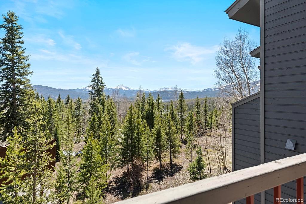 9401 Ryan Gulch Road Silverthorne CO 80498