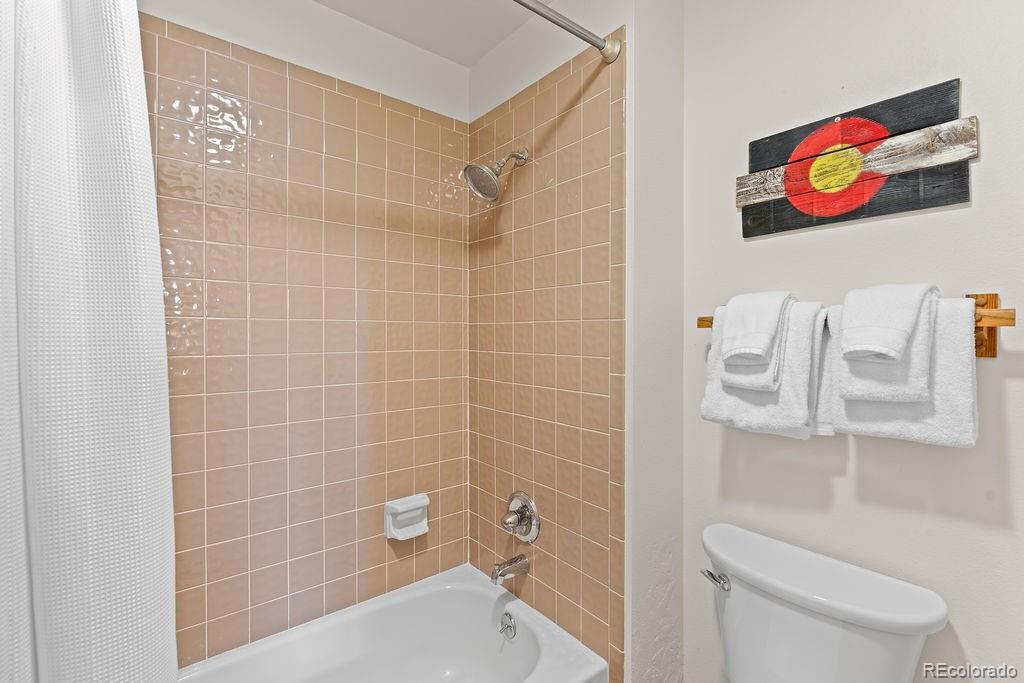 9401 Ryan Gulch Road Silverthorne CO 80498