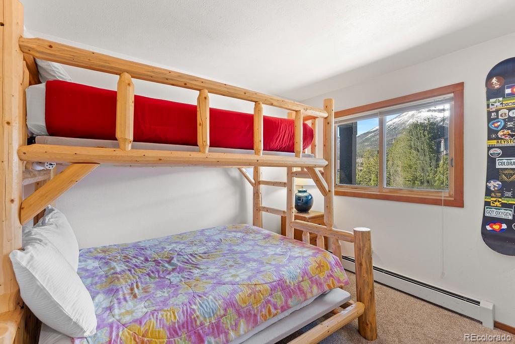 9401 Ryan Gulch Road Silverthorne CO 80498