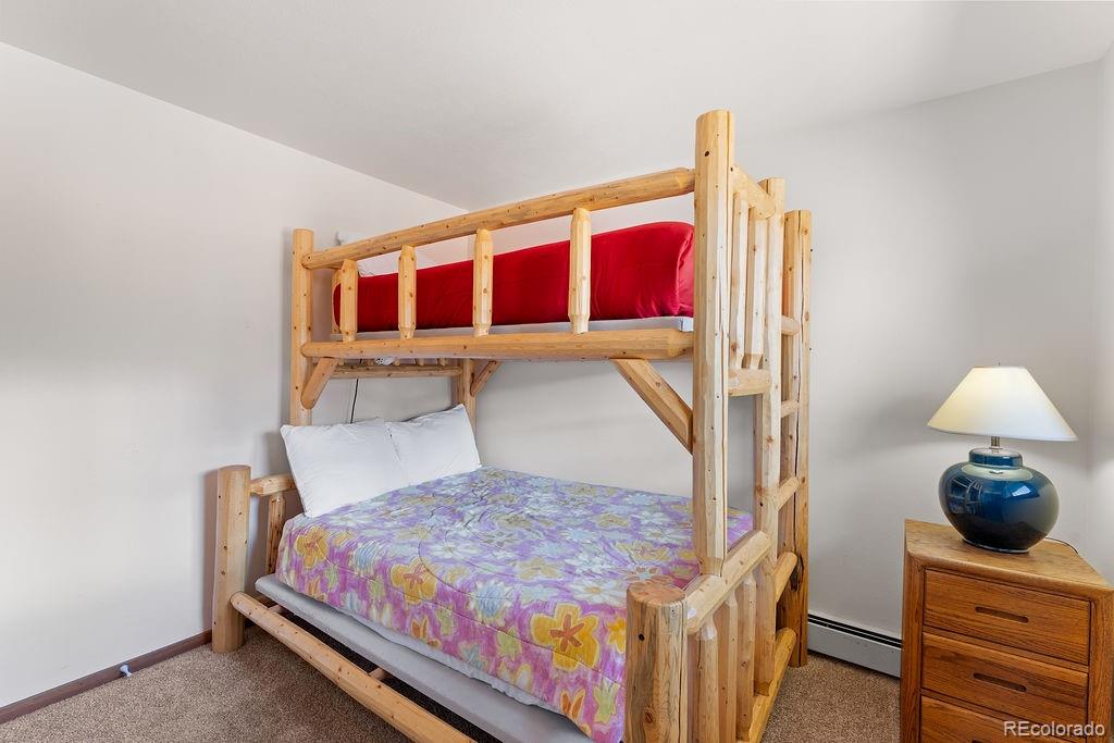 9401 Ryan Gulch Road Silverthorne CO 80498