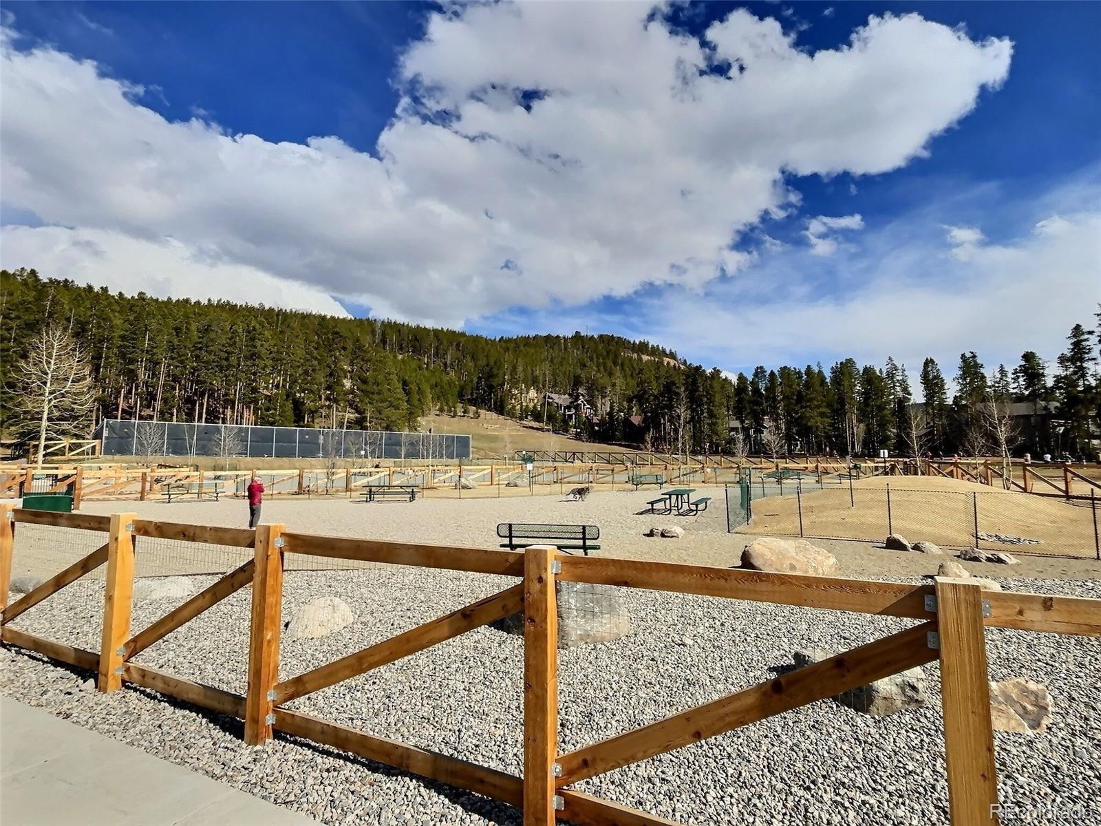 214 S Harris Street Breckenridge CO 80424
