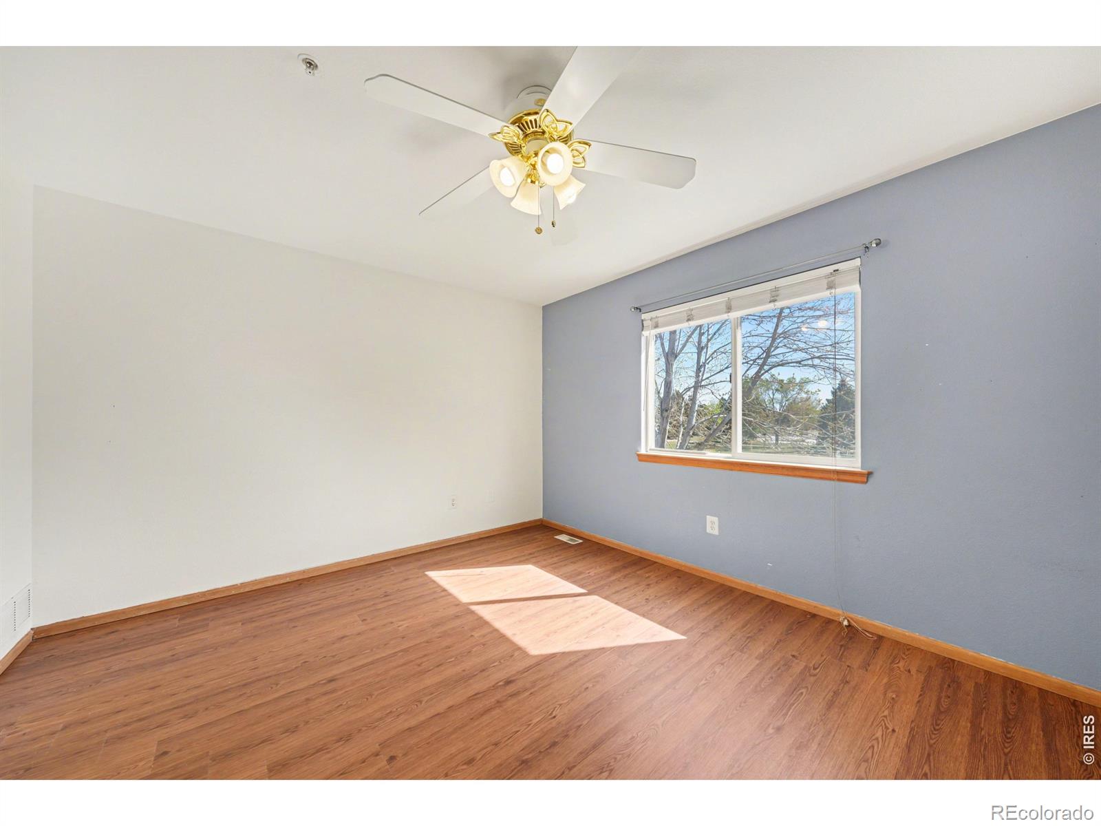 312 Dean Court Loveland CO 80537