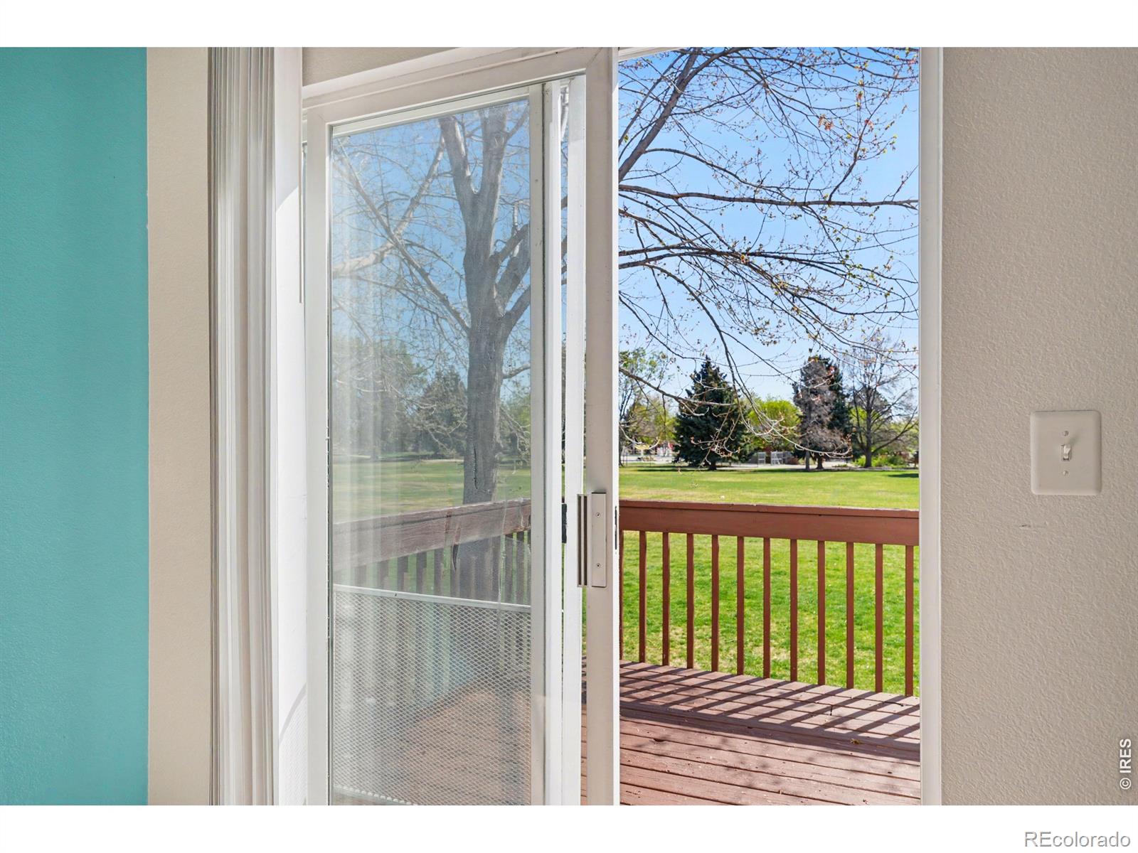 312 Dean Court Loveland CO 80537