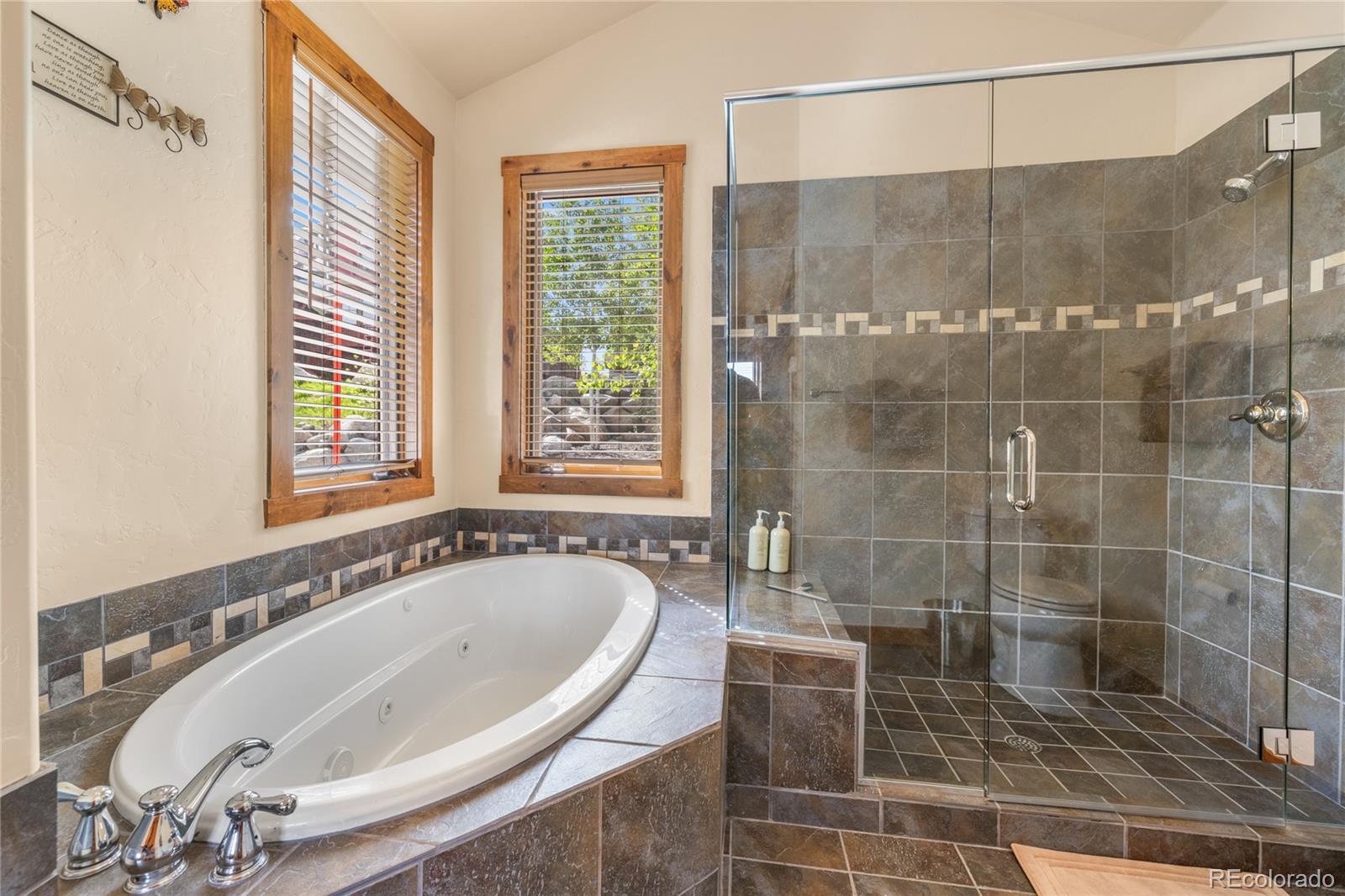 215 Bear Trail Court Winter Park CO 80482