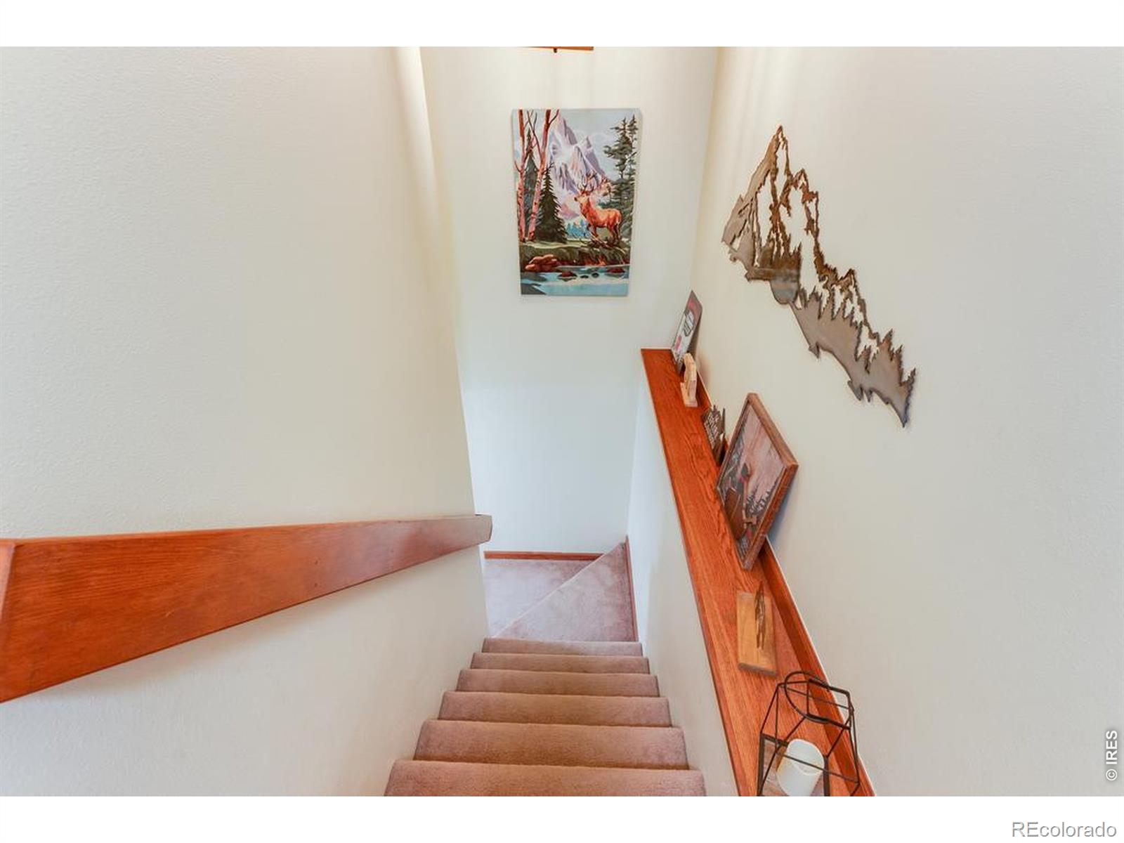 316 Big Horn Drive Estes Park CO 80517