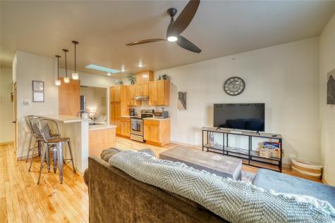 129 W Sackett Avenue Salida CO 81201