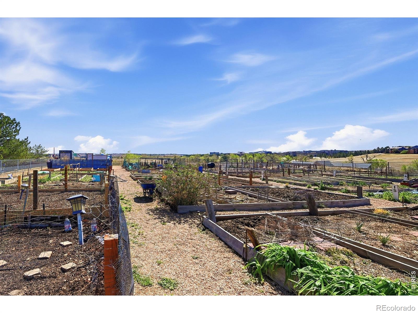 2040 Shamrock Drive Superior CO 80027