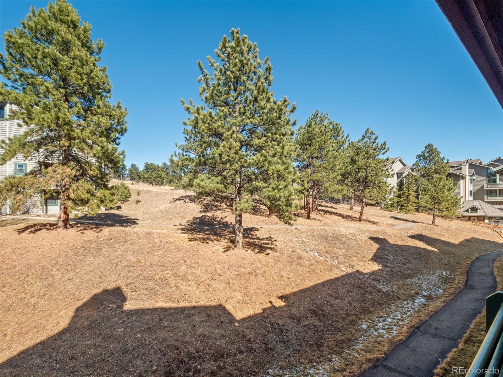 31819 Rocky Village Drive Evergreen CO 80439
