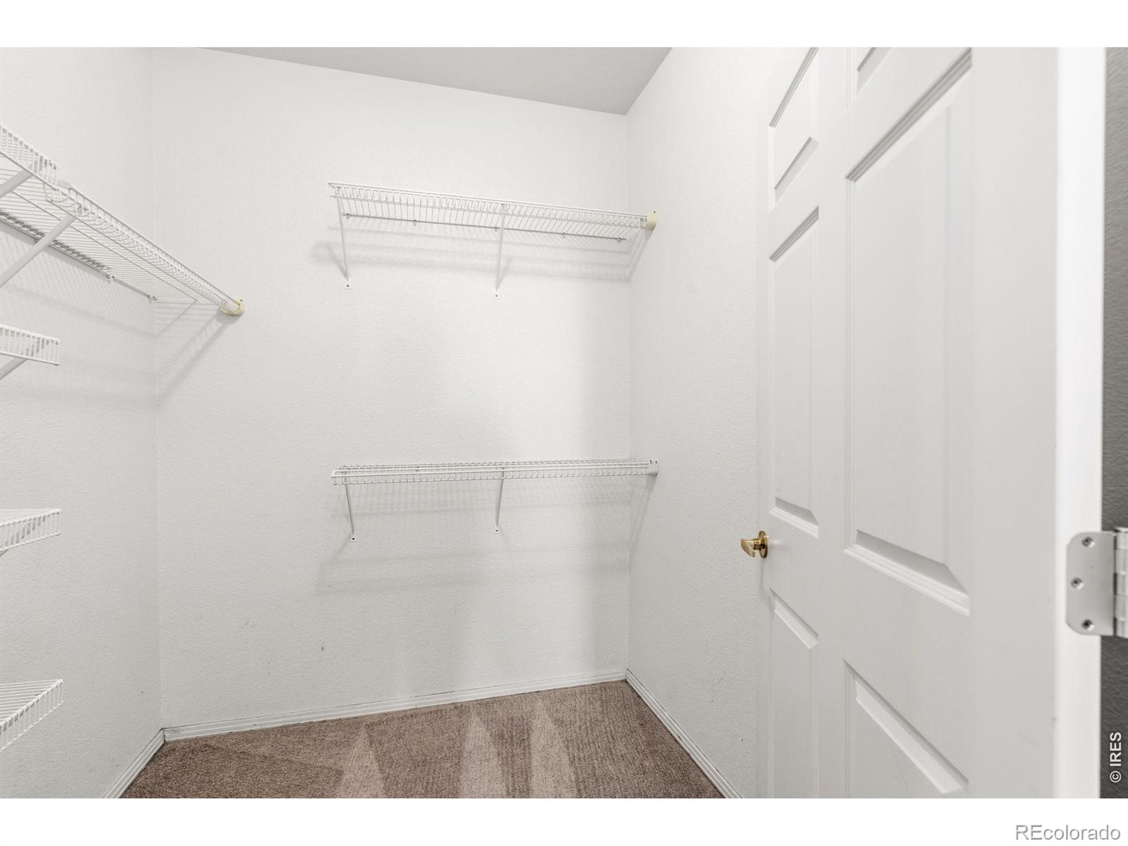 3002 W Elizabeth Street Fort Collins CO 80521