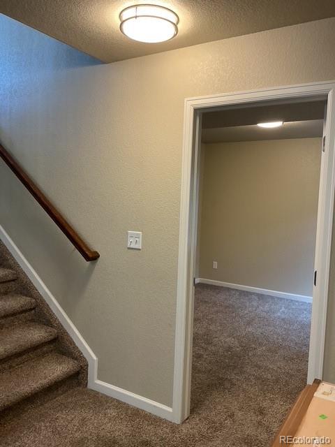 8127 Mockorange Heights Colorado Springs CO 80908