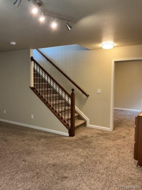 8127 Mockorange Heights Colorado Springs CO 80908