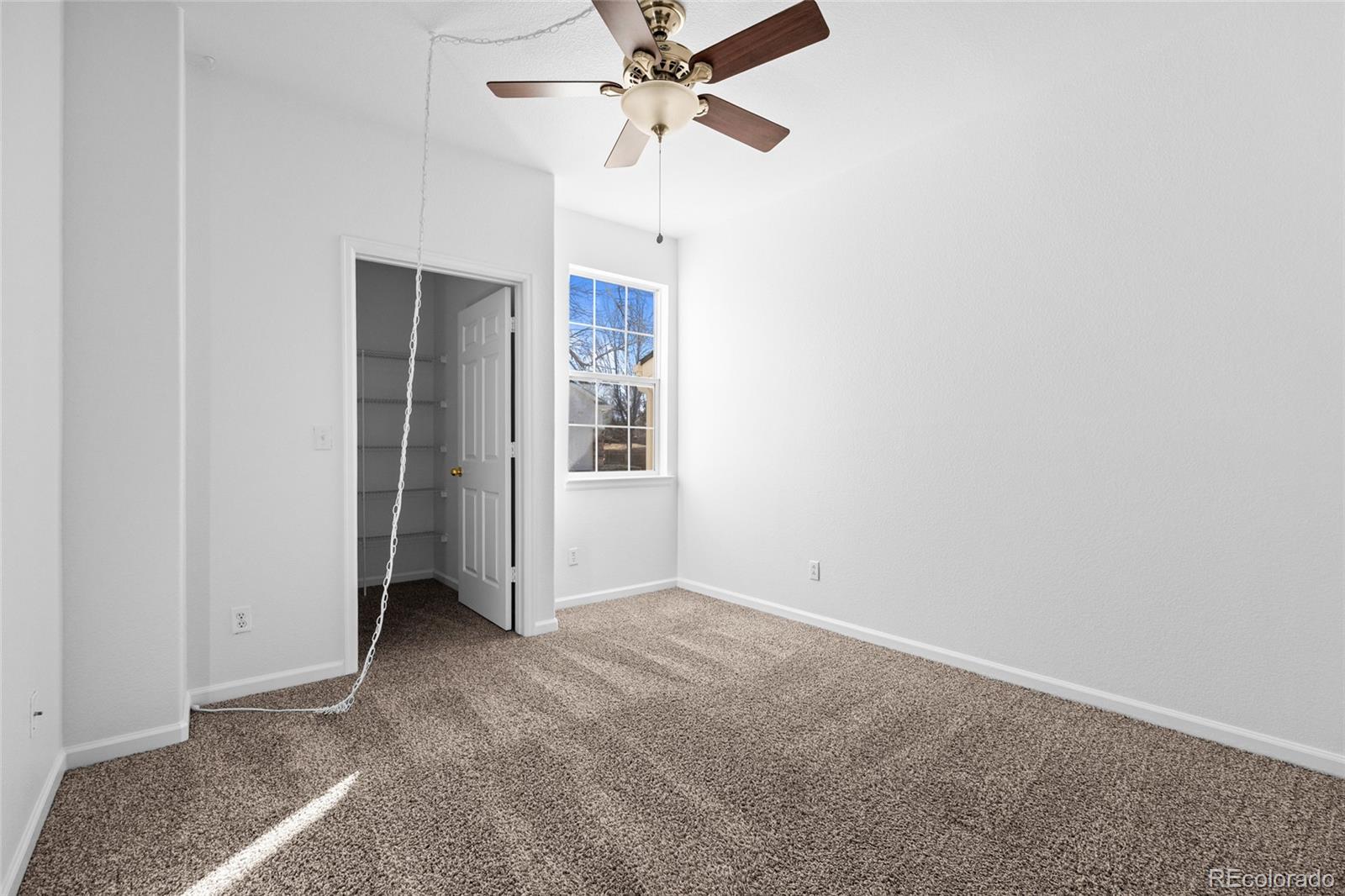 1153 S Alton Street Denver CO 80247