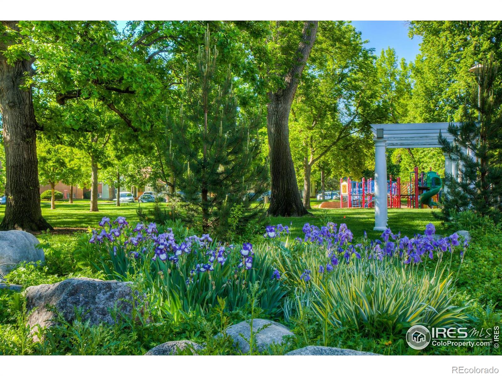 232 E Oak Street Fort Collins CO 80524