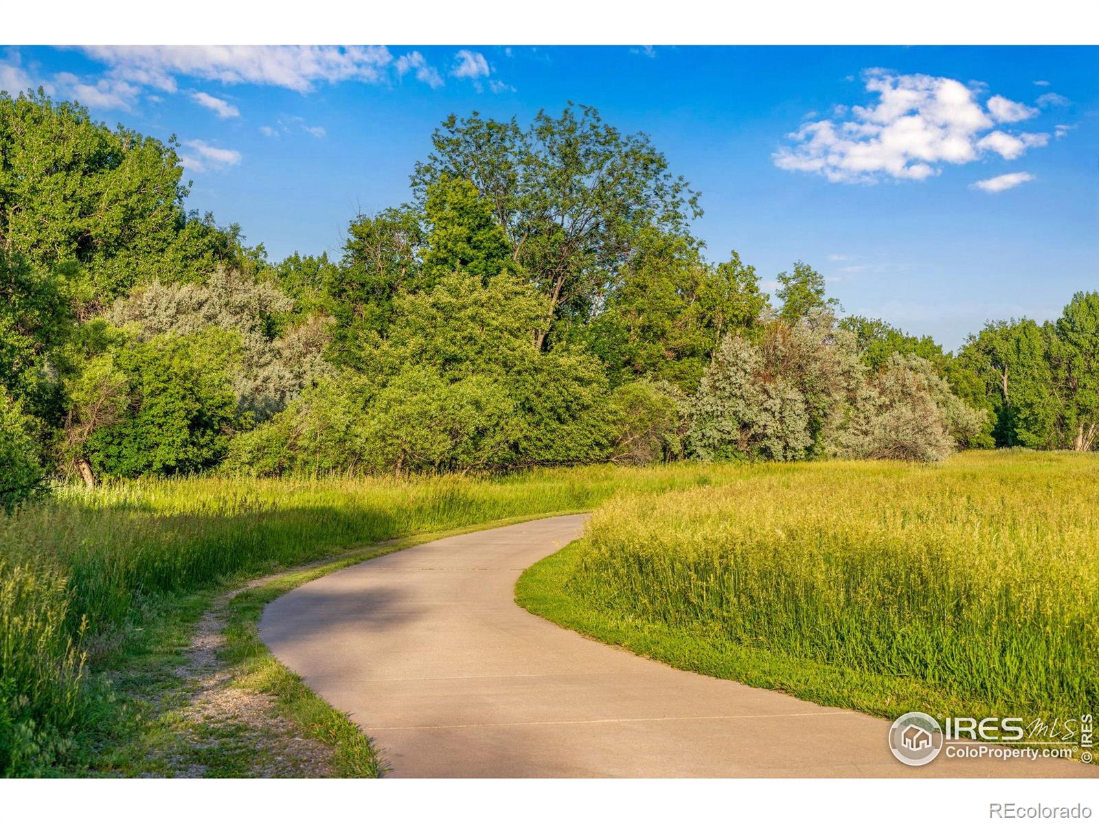 232 E Oak Street Fort Collins CO 80524