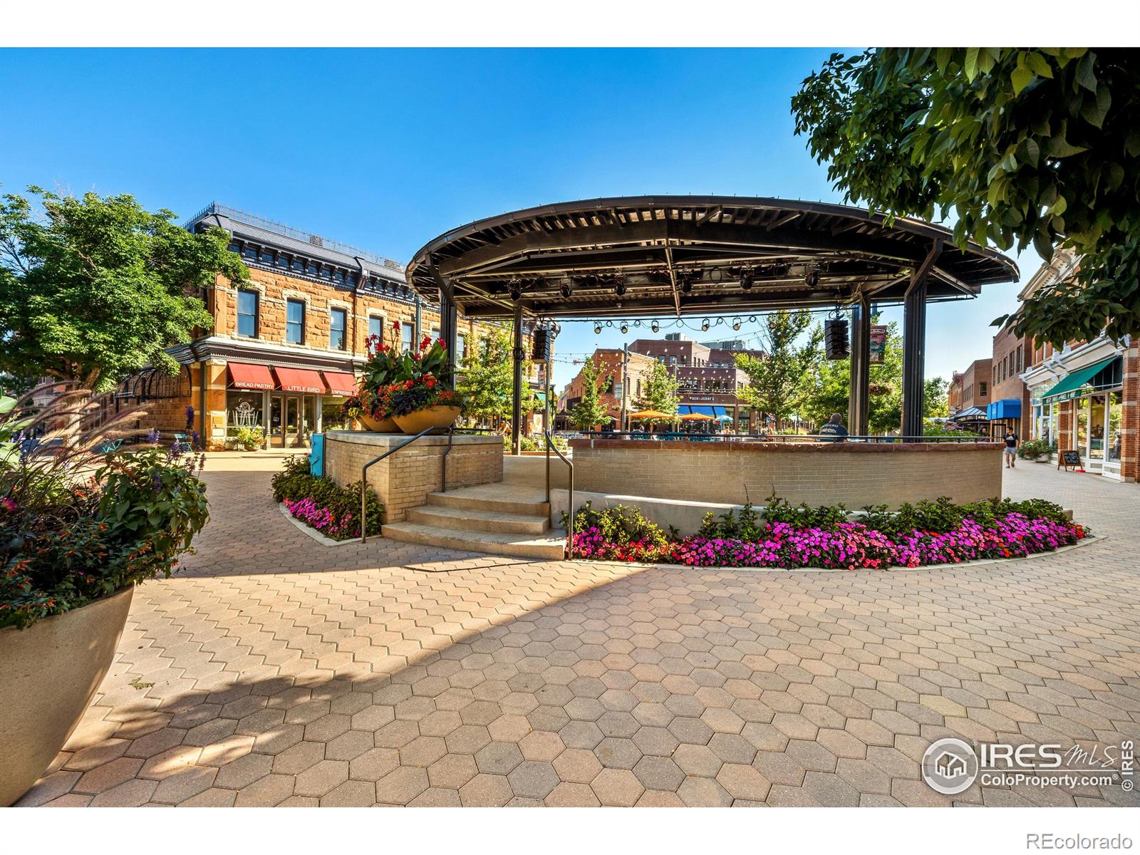 232 E Oak Street Fort Collins CO 80524