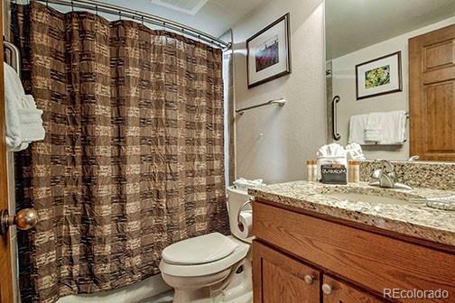 317 W La Bonte Street Dillon CO 80435