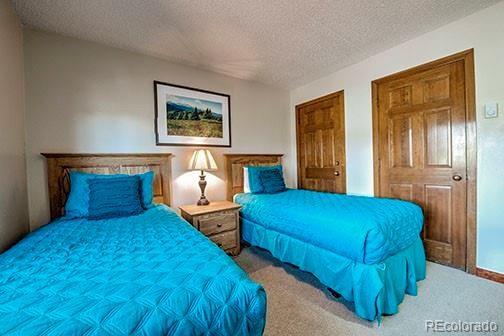 317 W La Bonte Street Dillon CO 80435