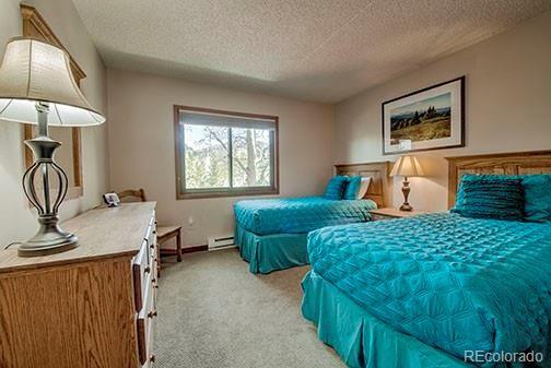 317 W La Bonte Street Dillon CO 80435