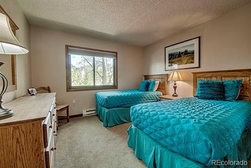 317 W La Bonte Street Dillon CO 80435