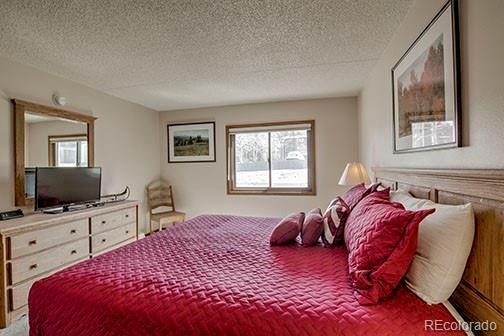 317 W La Bonte Street Dillon CO 80435