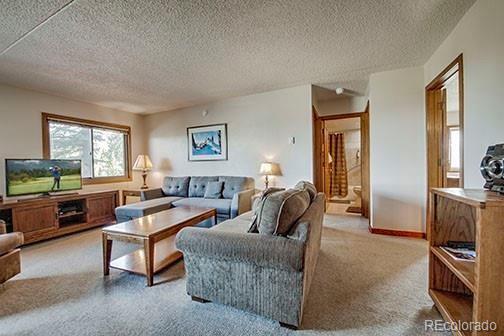 317 W La Bonte Street Dillon CO 80435