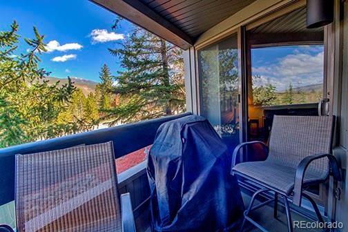 317 W La Bonte Street Dillon CO 80435