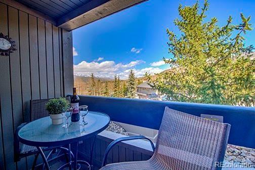 317 W La Bonte Street Dillon CO 80435