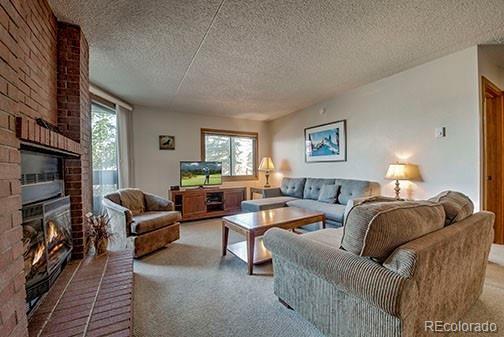 317 W La Bonte Street Dillon CO 80435