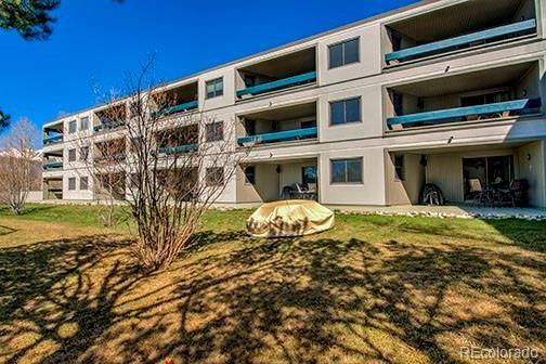 317 W La Bonte Street Dillon CO 80435