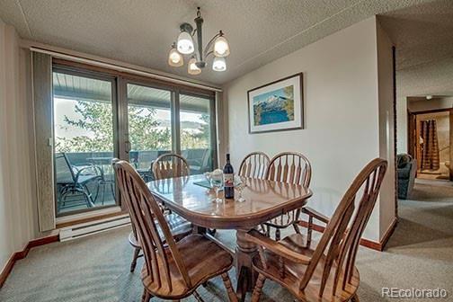 317 W La Bonte Street Dillon CO 80435