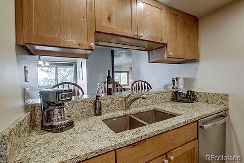 317 W La Bonte Street Dillon CO 80435