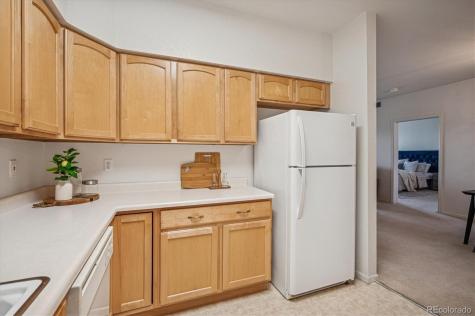 2896 W Riverwalk Circle Littleton CO 80123