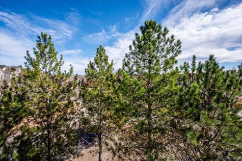 2896 W Riverwalk Circle Littleton CO 80123