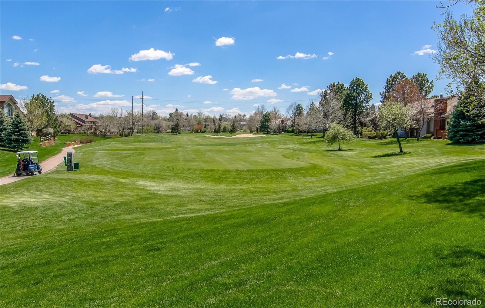 2896 W Riverwalk Circle Littleton CO 80123