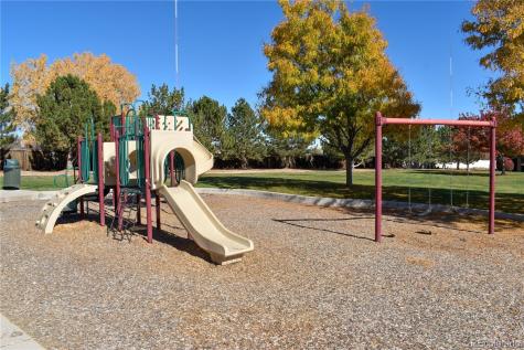 4785 E 98th Place Thornton CO 80229