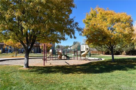 4785 E 98th Place Thornton CO 80229