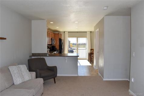 4785 E 98th Place Thornton CO 80229