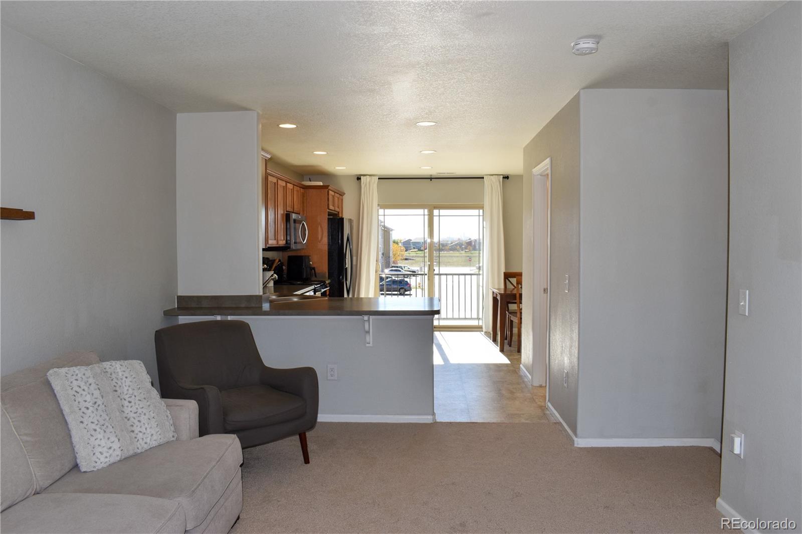 4785 E 98th Place Thornton CO 80229
