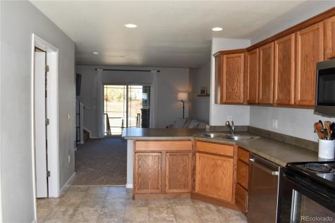 4785 E 98th Place Thornton CO 80229