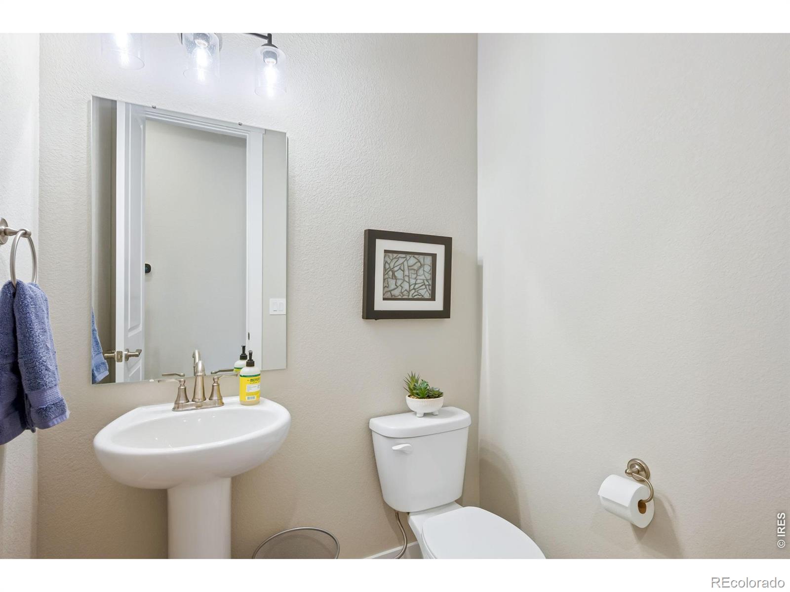 2739 Prairie Flax Street Berthoud CO 80513