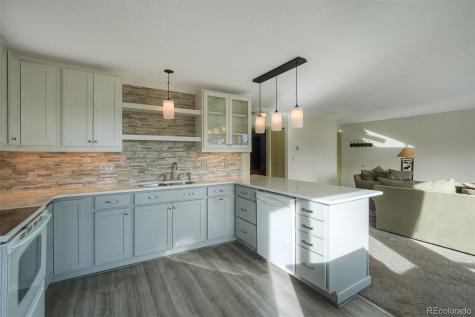 9825 Ryan Gulch Road Silverthorne CO 80498