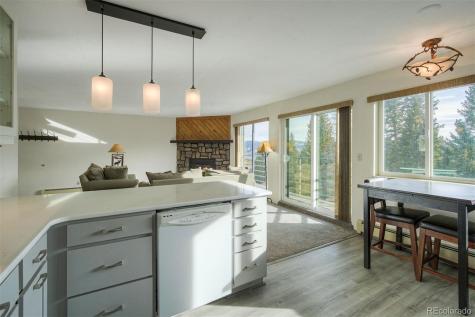 9825 Ryan Gulch Road Silverthorne CO 80498